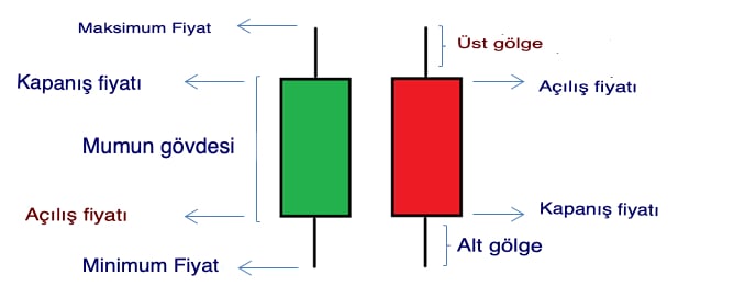 Mum grafik bileşenleri