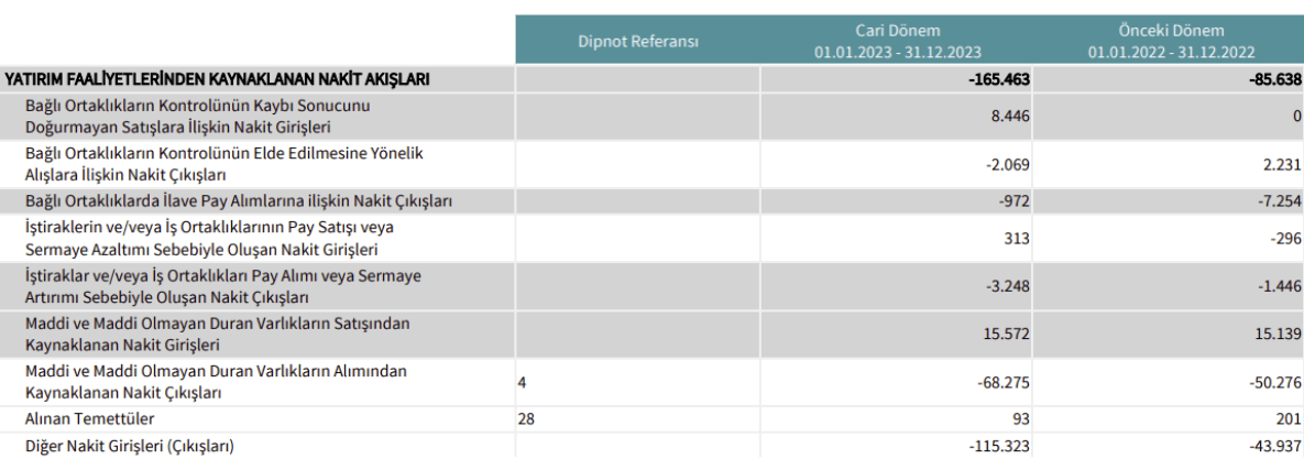 koç holding yatırım faaliyetleri