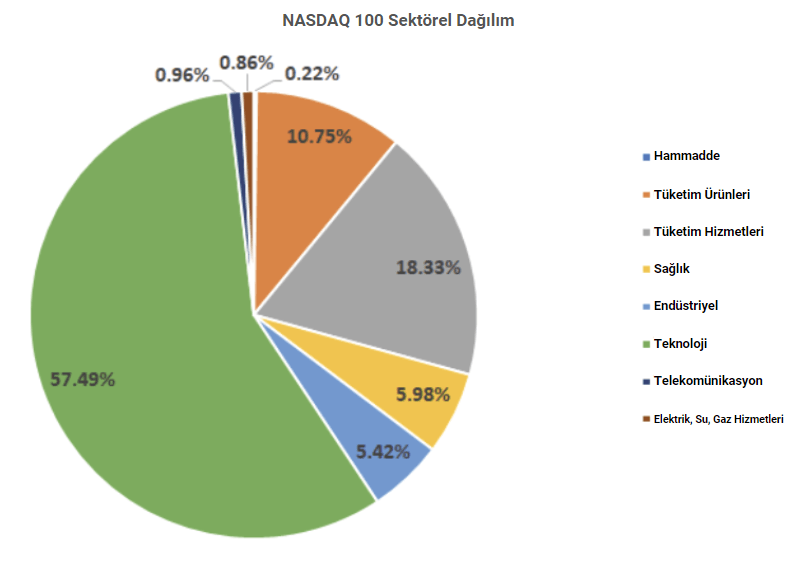 nasdaq100 sektör dağılımı