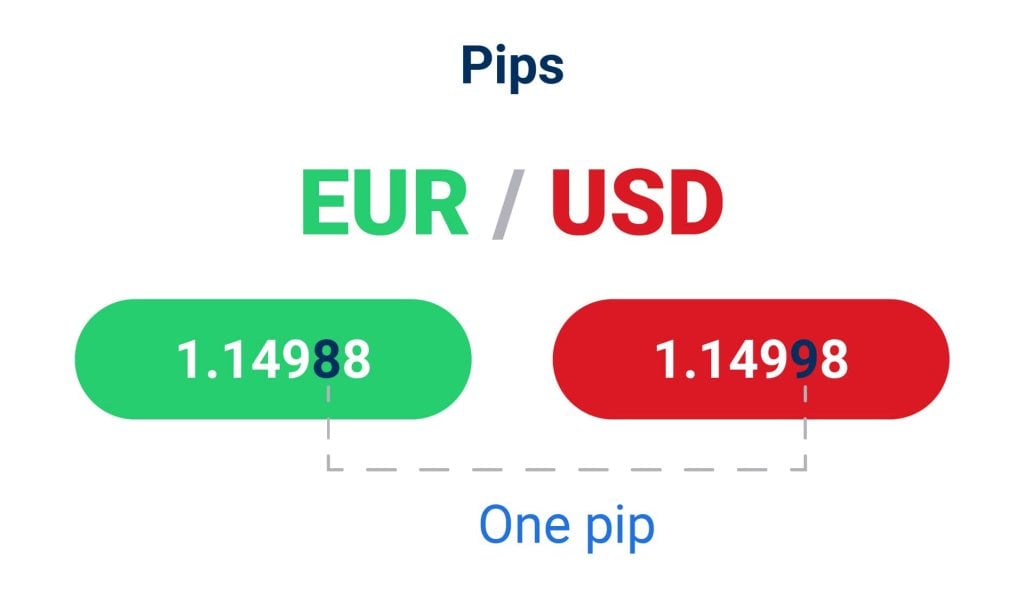 Pip nedir