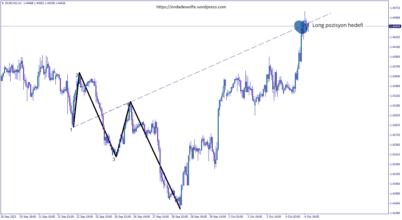 Wolfe Dalgası yükseliş