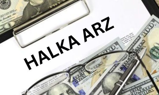 halka arz