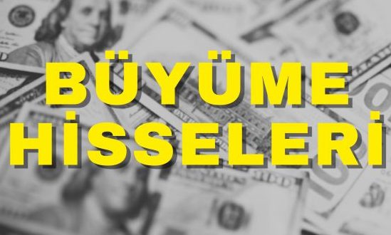 Büyüme Hisseleri