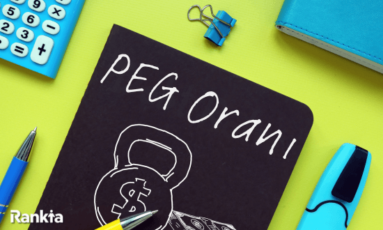 PEG Oranı nedir