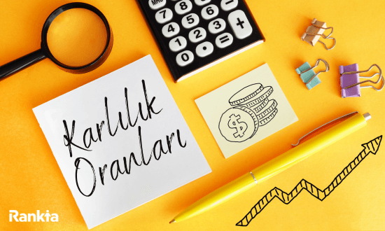 Oran Analizi Karlılık Oranları