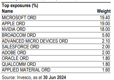 Invesco US Technology Sector UCITS ETF şirketler