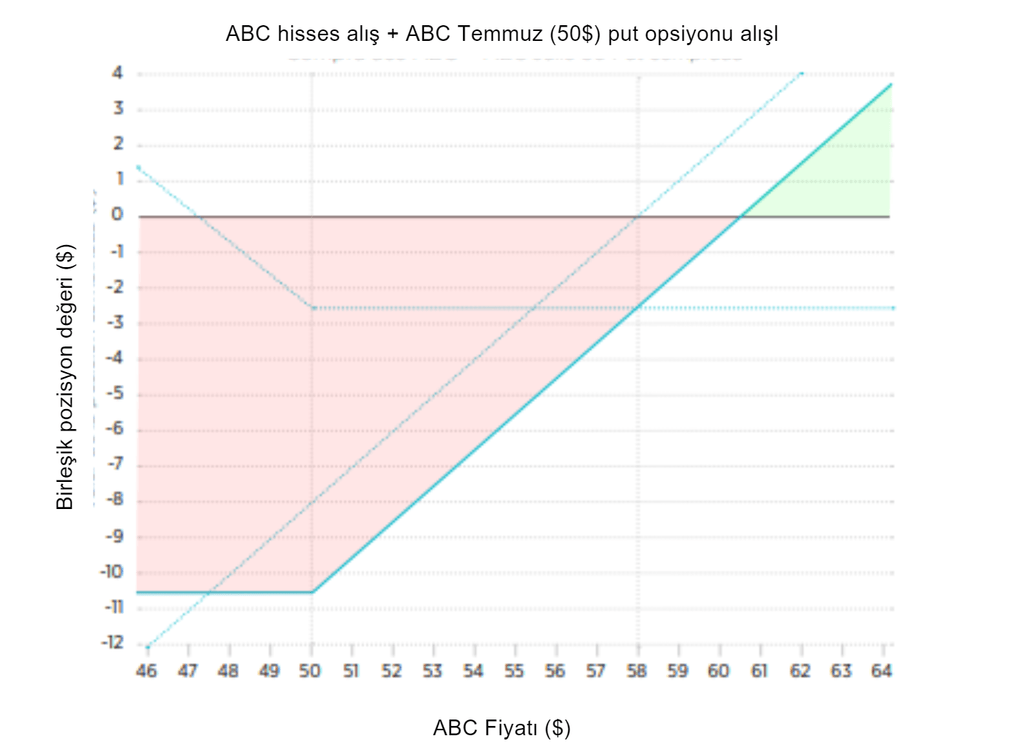 Koruyucu Put opsiyon koruma