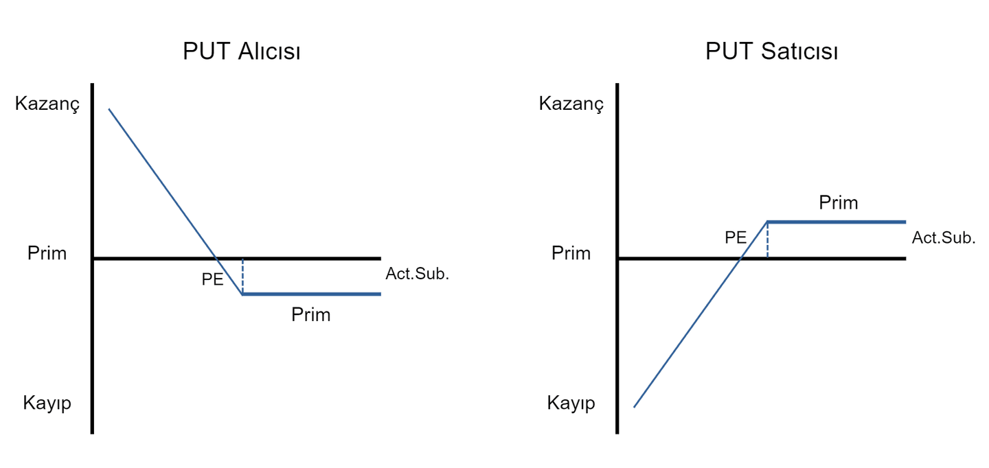 Put opsiyonları