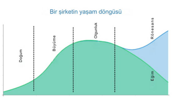 Bir şirketin örnek yaşam döngüsü