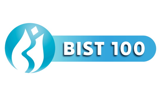 bist100