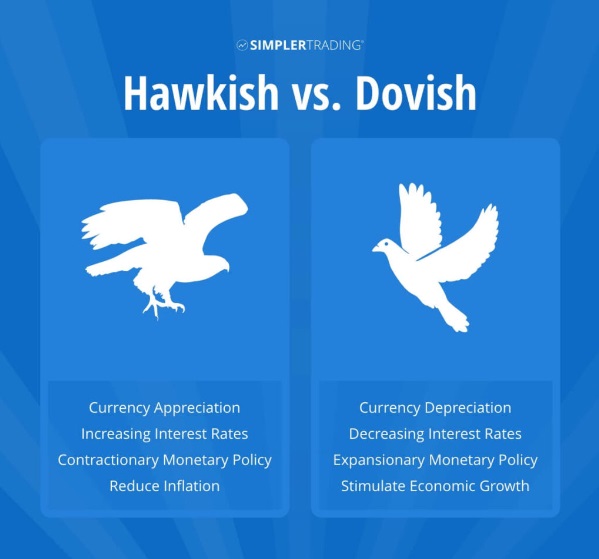 Şahin veya Güvercin Bir Duruş