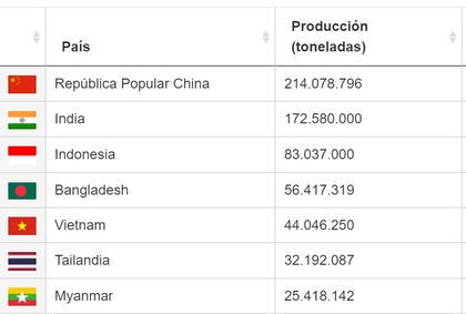 Pirinç en çok hangi ülkede?