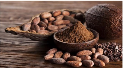 Kakaoya nasıl yatırım yapılır?