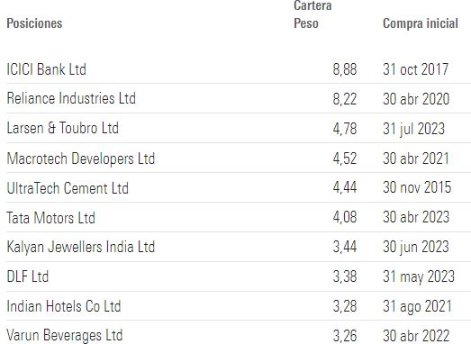 Nomura India Equity Fund Top Holdings