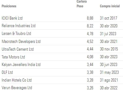 Nomura India Equity Fund Top Holdings