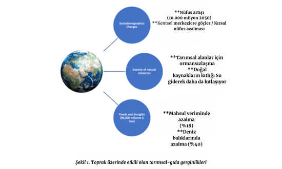 Türkiye'deki gıda piyasasındaki sorunlar nelerdir?