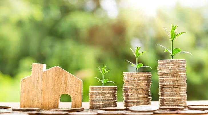 money home coin investment preview