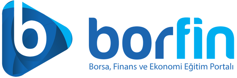 Borfin logo