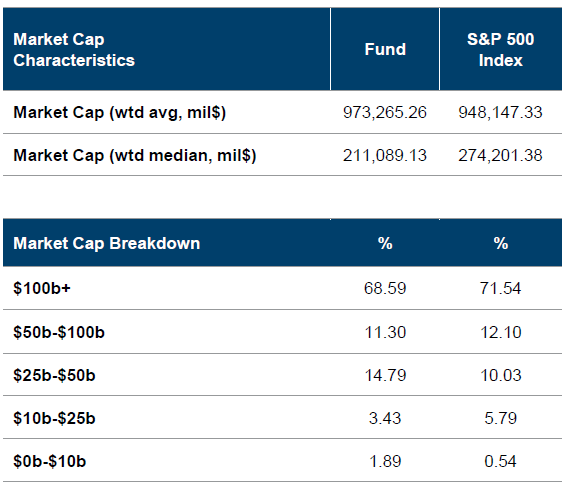 Portföy dağılımı ct lux
