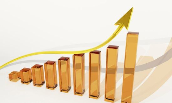 Multibagger hisse senedi