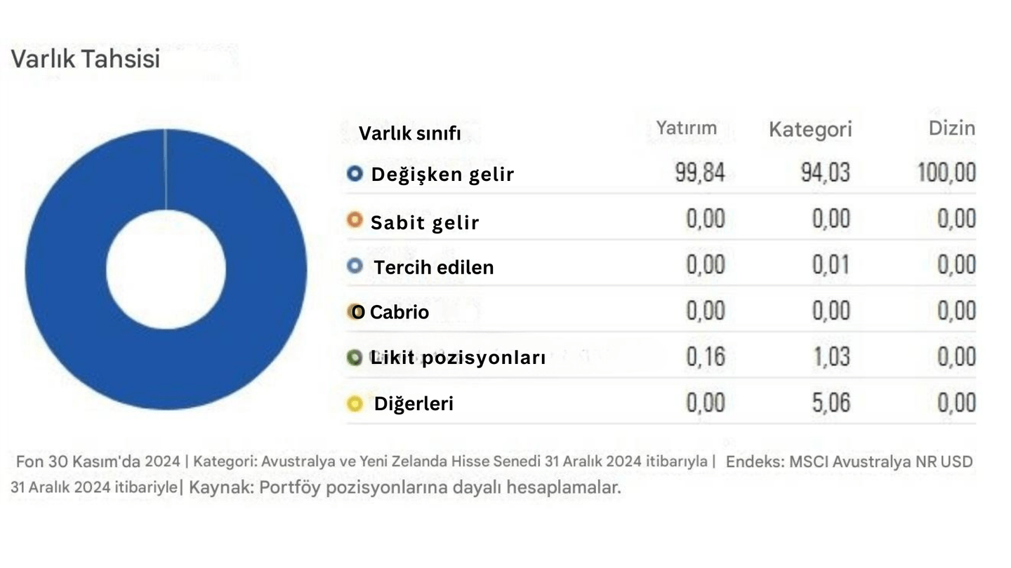 Varlık Tahsisi Candriam Hisse Senedi Fonu