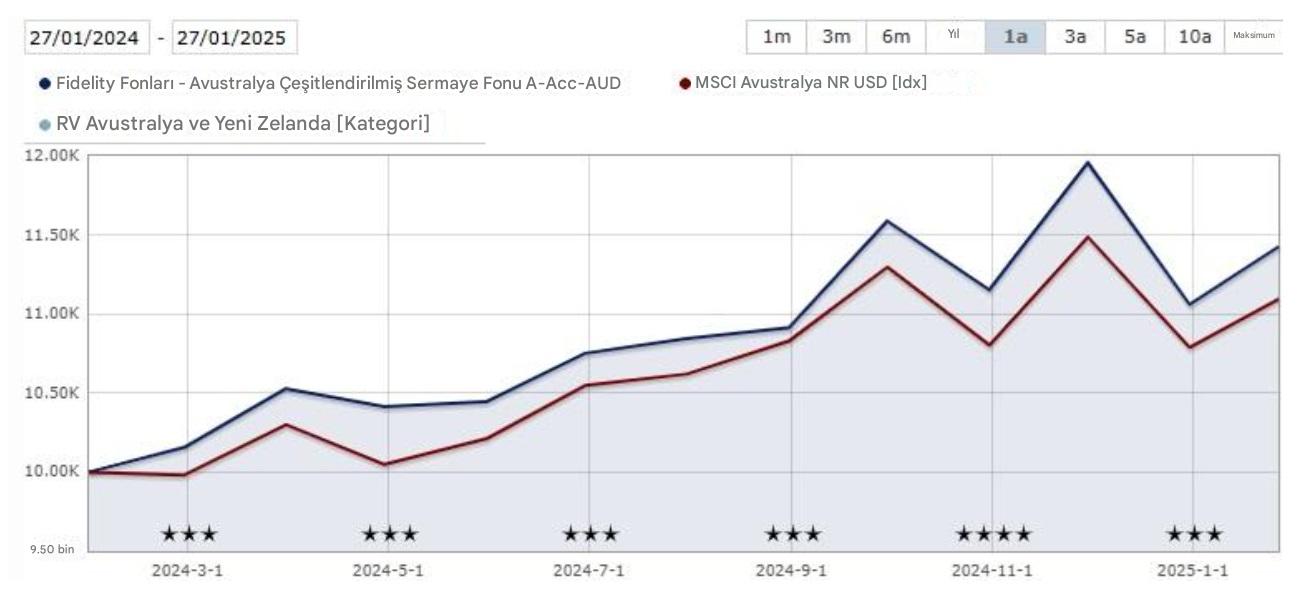 Avustralya Çeşitlendirilmiş Hisse Senedi Fonu'nun yıllık performansı