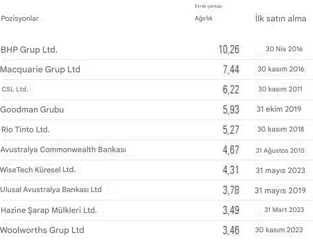 Barings Uluslararası Şemsiye Fonu'nun ana pozisyonları