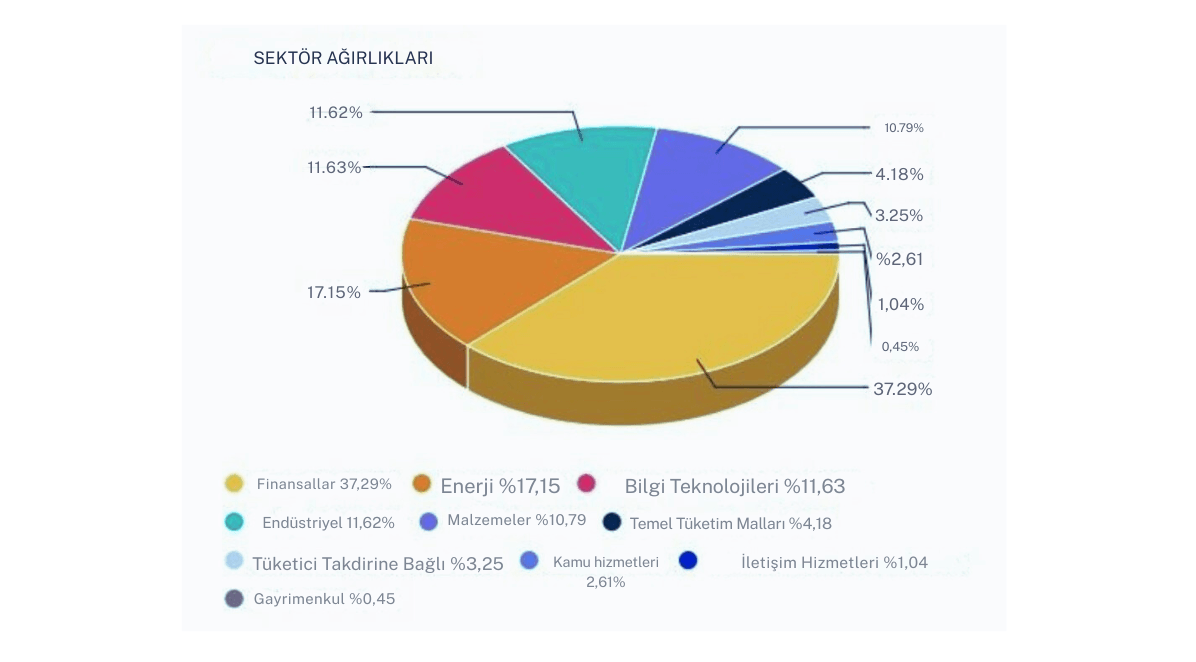 MSCI endeksi hisseleri hangileri? - MSCI endeksine giren hisse ne olur?