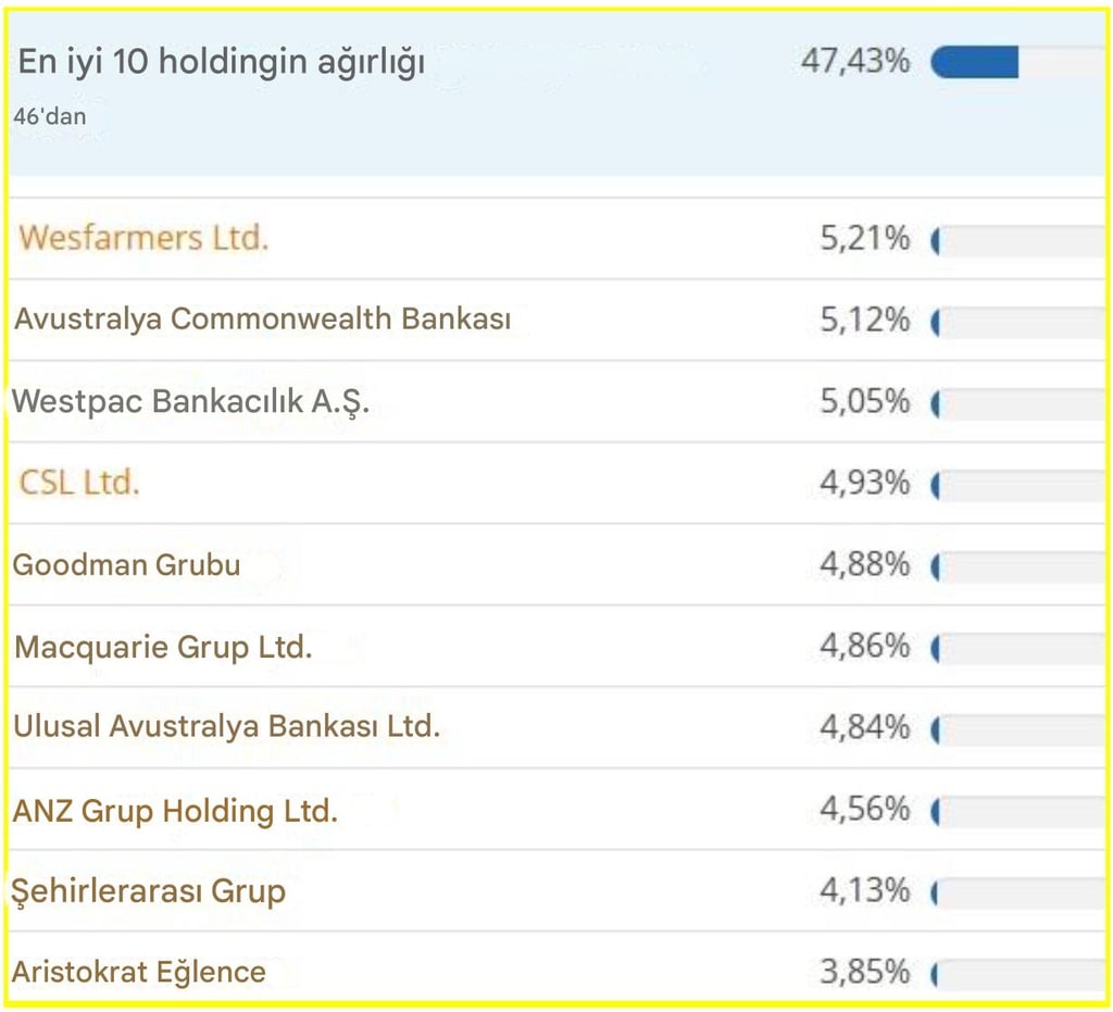 UBS (Irl) ETF plc'nin en önemli varlıkları