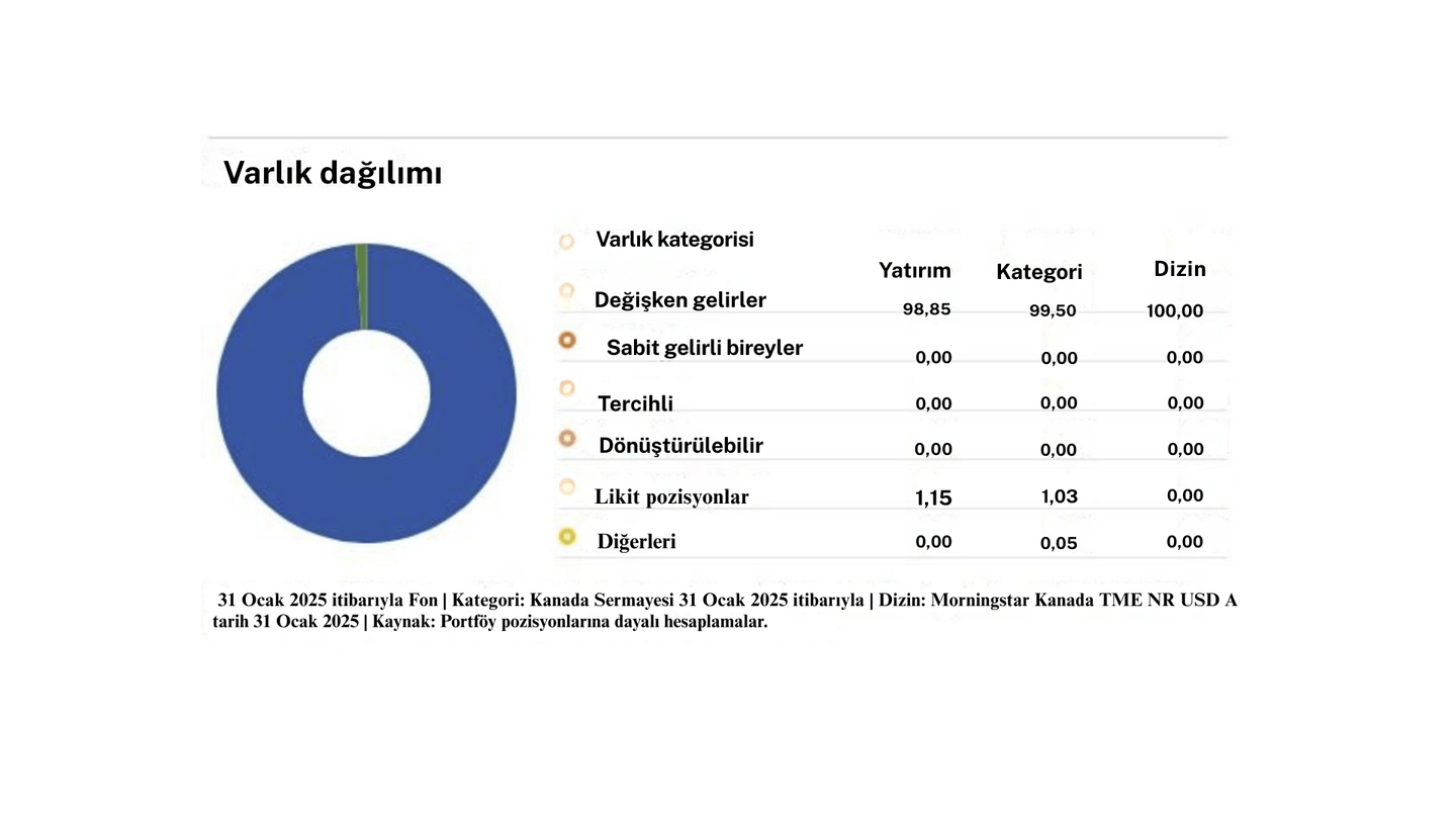 Varlık Tahsisi Credit Suisse Endeks Fonu (Lux) - CSIF (Lux) Equity Canada ESG Blue QB CAD