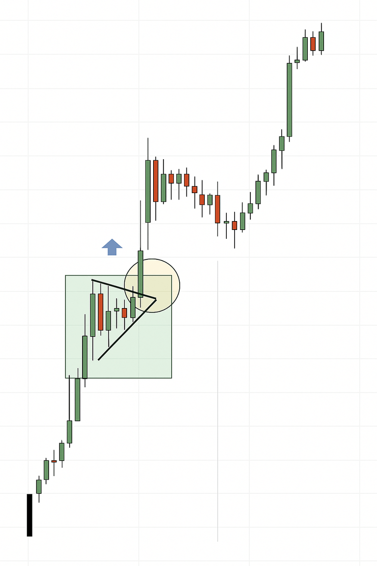 Flama formasyonu giriş
