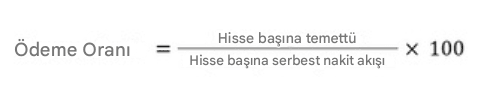 Payout FCF finansal oranı