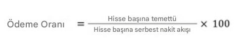 Payout FCF finansal oranı