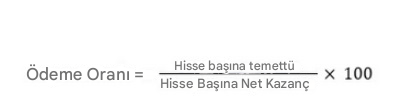 Ödeme Payout oranı temel formülü