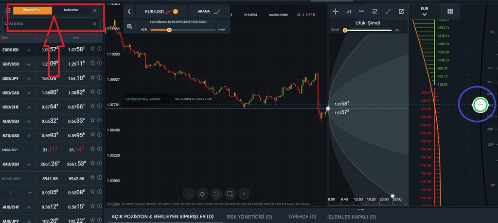 AvaTrade'den Ava Options platformunun örneği