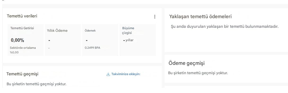 Palantir hissesi temettü