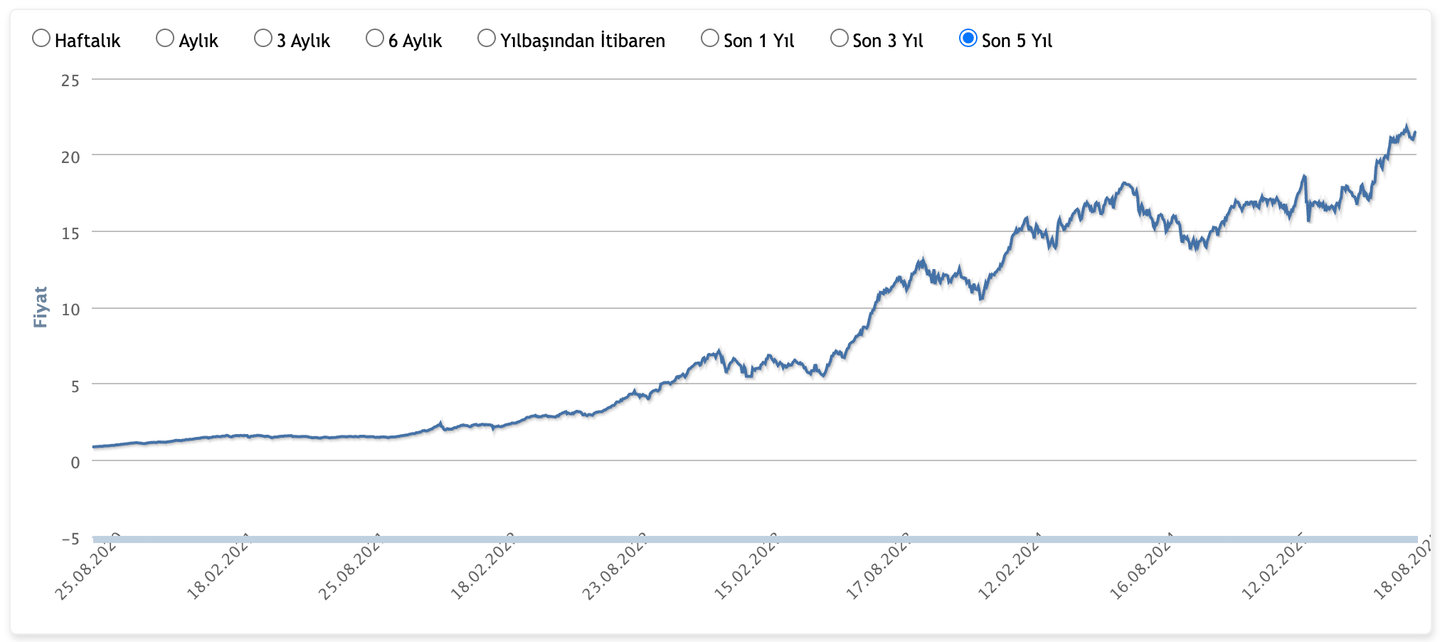 Hedef Portföy NNF – Birinci Hisse Senedi Fonu grafik