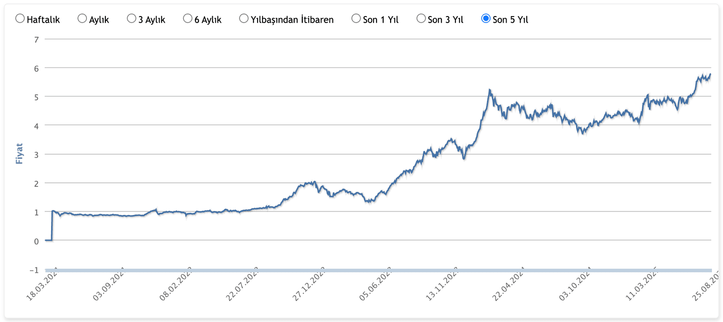 Yapı Kredi Portföy YHZ – Yerli Hisse Senedi Fonu Grafik